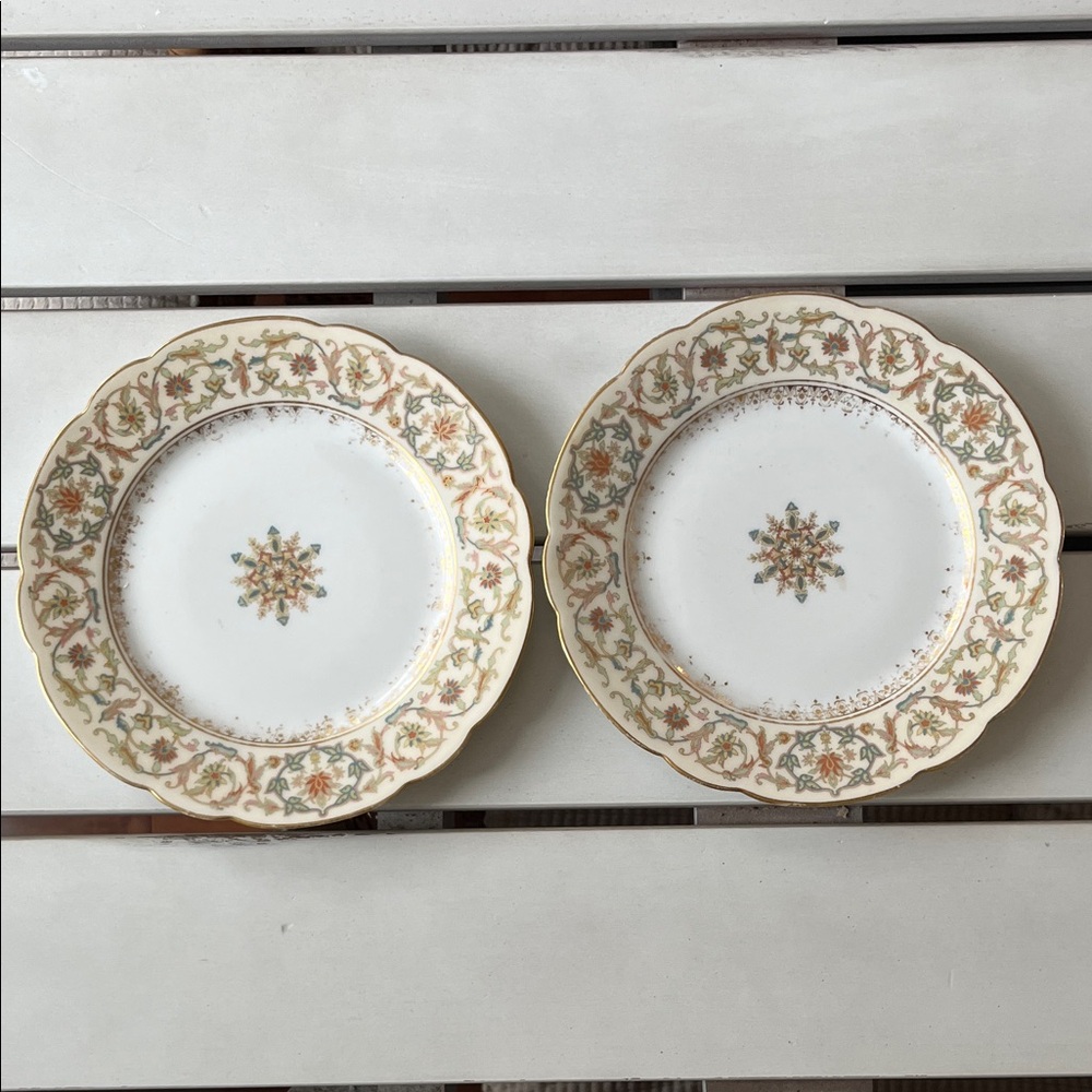 2 Limoges Dessert Plates